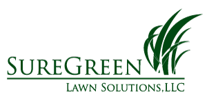 Maryland lawn care & pest control services